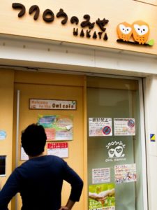 Owl cafe Hakata