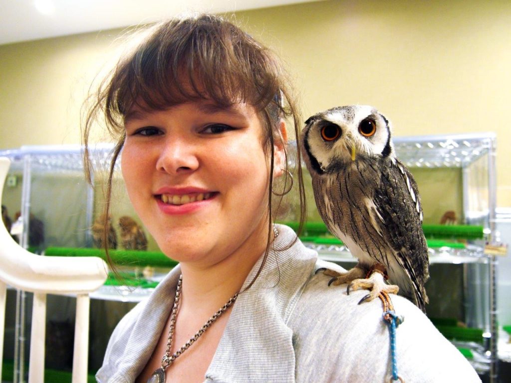 Owl cafe Hakata