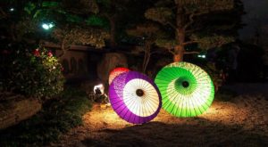 Hakata light-up wandeling