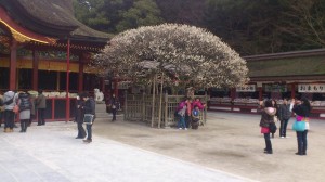 Daizaifu tempel